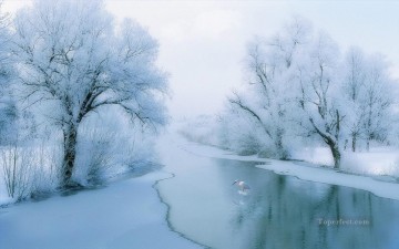 realistic photography 07 winter landscape Oil Paintings